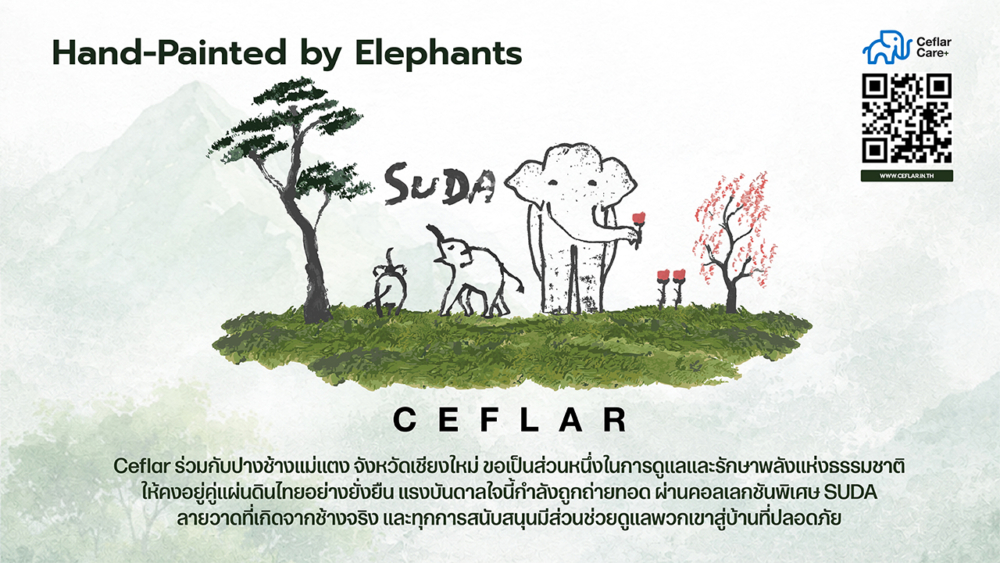 CEFLAR x SUDA (1)_0